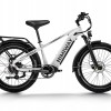 D5(Zebra) / Premium All-terrain Electric Fat Bike