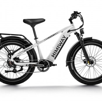 D5(Zebra) / Premium All-terrain Electric Fat Bike