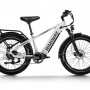 D5(Zebra) / Premium All-terrain Electric Fat Bike