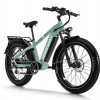 D5(Zebra) / Premium All-terrain Electric Fat Bike