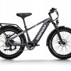 D5(Zebra) / Premium All-terrain Electric Fat Bike