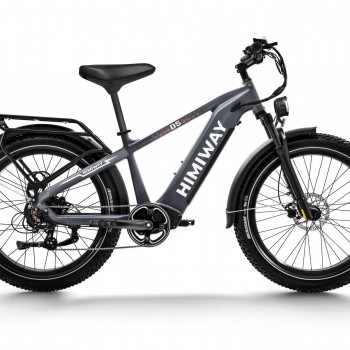 D5(Zebra) / Premium All-terrain Electric Fat Bike