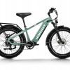 D5(Zebra) / Premium All-terrain Electric Fat Bike