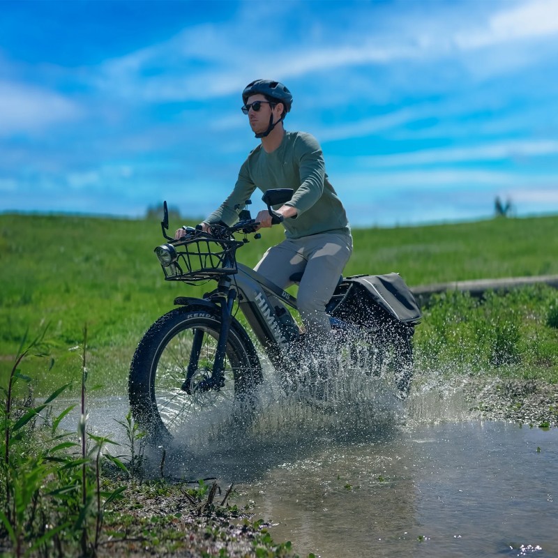 D5(Zebra) / Premium All-terrain Electric Fat Bike D5(Zebra) / Premium All-terrain Electric Fat Bike