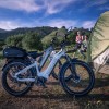 D5(Zebra) / Premium All-terrain Electric Fat Bike