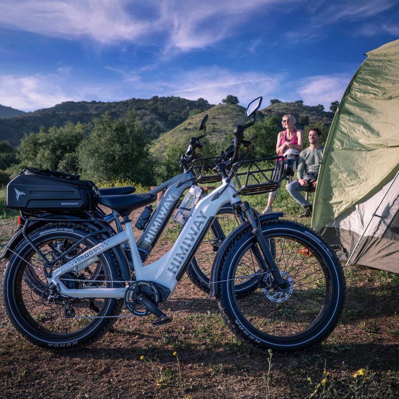 D5(Zebra) / Premium All-terrain Electric Fat Bike D5(Zebra) / Premium All-terrain Electric Fat Bike