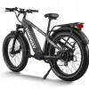 D5(Zebra) / Premium All-terrain Electric Fat Bike