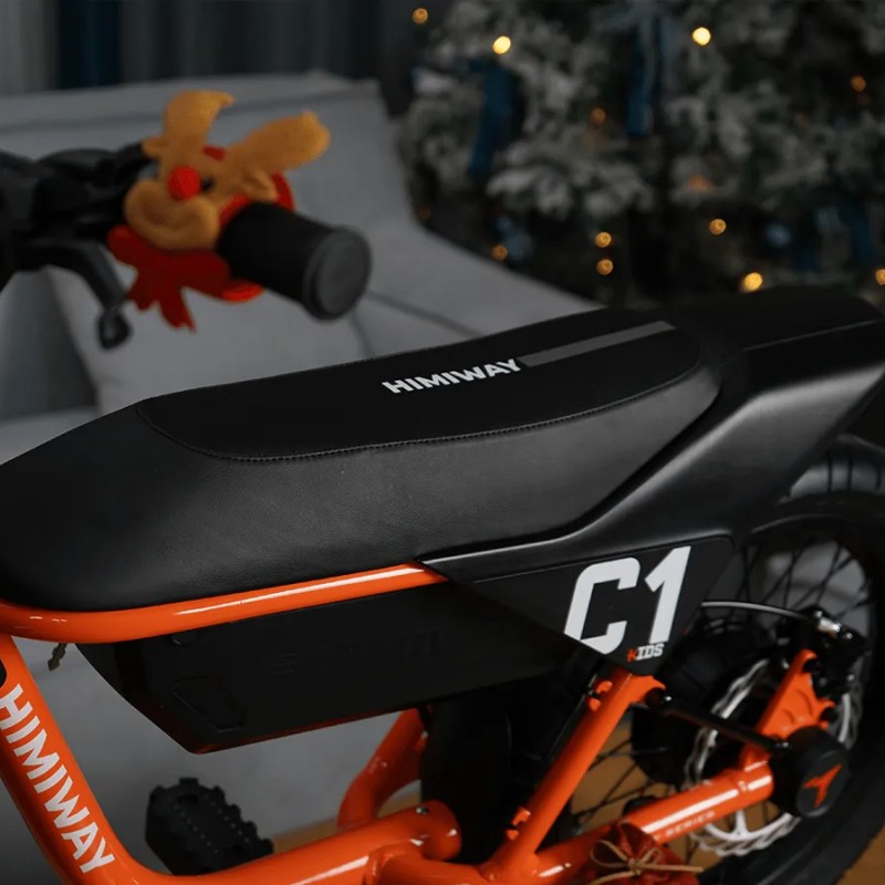 C1 / Kids Electric Bike – Perfect eBike for Kids! C1 / Kids Electric Bike – Perfect eBike for Kids!