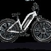 D3 ST(Cruiser ST) / All Terrain Step Thru Electric Bike