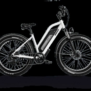 D3 ST(Cruiser ST) / All Terrain Step Thru Electric Bike