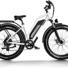 D3 ST(Cruiser ST) / All Terrain Step Thru Electric Bike