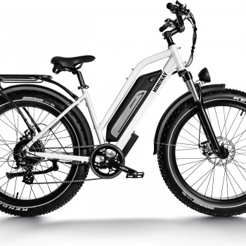 D3 ST(Cruiser ST) / All Terrain Step Thru Electric Bike