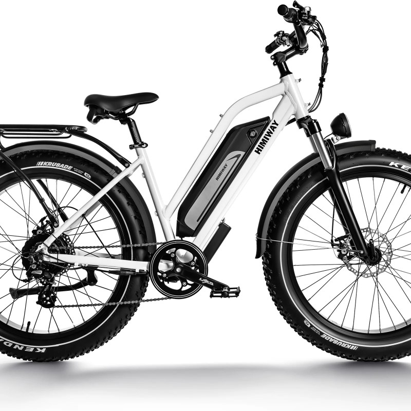 D3 ST(Cruiser ST) / All Terrain Step Thru Electric Bike D3 ST(Cruiser ST) / All Terrain Step Thru Electric Bike