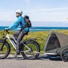 D3 ST(Cruiser ST) / All Terrain Step Thru Electric Bike