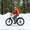 D3 ST(Cruiser ST) / All Terrain Step Thru Electric Bike