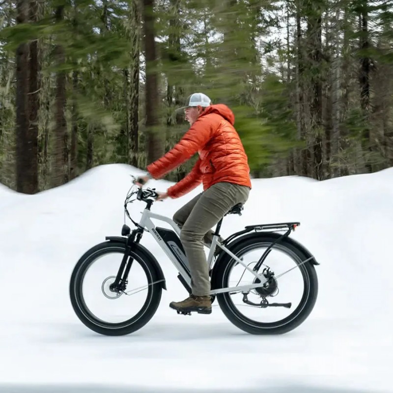 D3 ST(Cruiser ST) / All Terrain Step Thru Electric Bike D3 ST(Cruiser ST) / All Terrain Step Thru Electric Bike