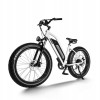 D3 ST(Cruiser ST) / All Terrain Step Thru Electric Bike