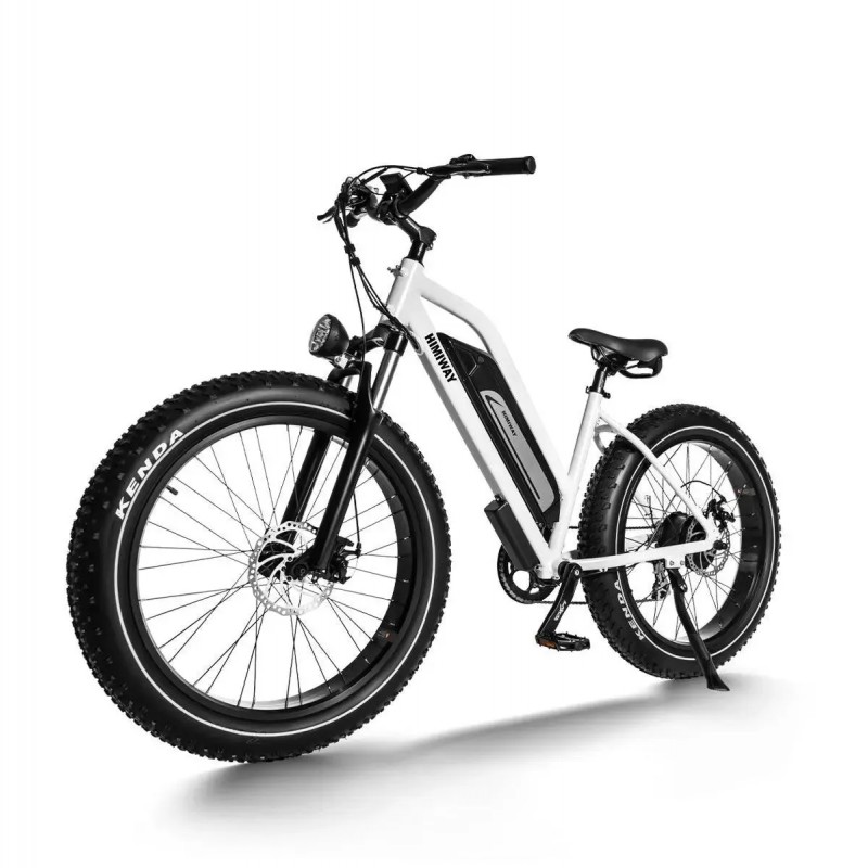 D3 ST(Cruiser ST) / All Terrain Step Thru Electric Bike D3 ST(Cruiser ST) / All Terrain Step Thru Electric Bike