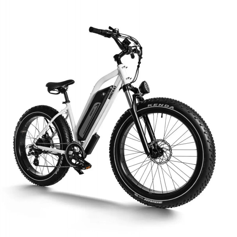 D3 ST(Cruiser ST) / All Terrain Step Thru Electric Bike D3 ST(Cruiser ST) / All Terrain Step Thru Electric Bike