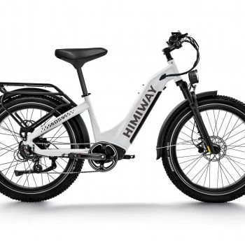 D5 ST(Zebra ST) / Premium All-terrain Electric Fat Bike