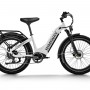 D5 ST(Zebra ST) / Premium All-terrain Electric Fat Bike