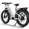D5 ST(Zebra ST) / Premium All-terrain Electric Fat Bike