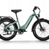 D5 ST(Zebra ST) / Premium All-terrain Electric Fat Bike