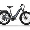 D5 ST(Zebra ST) / Premium All-terrain Electric Fat Bike