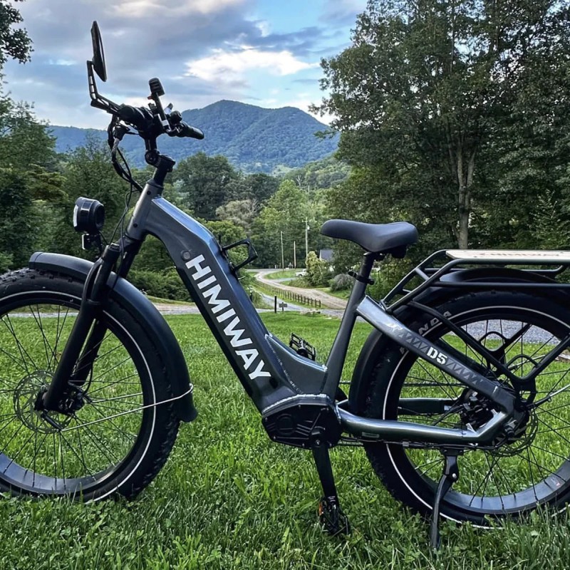 D5 ST(Zebra ST) / Premium All-terrain Electric Fat Bike D5 ST(Zebra ST) / Premium All-terrain Electric Fat Bike
