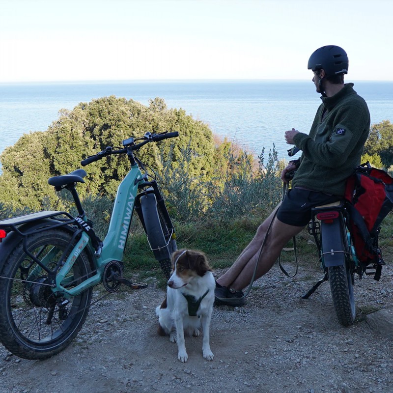 D5 ST(Zebra ST) / Premium All-terrain Electric Fat Bike D5 ST(Zebra ST) / Premium All-terrain Electric Fat Bike