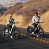 D5 ST(Zebra ST) / Premium All-terrain Electric Fat Bike