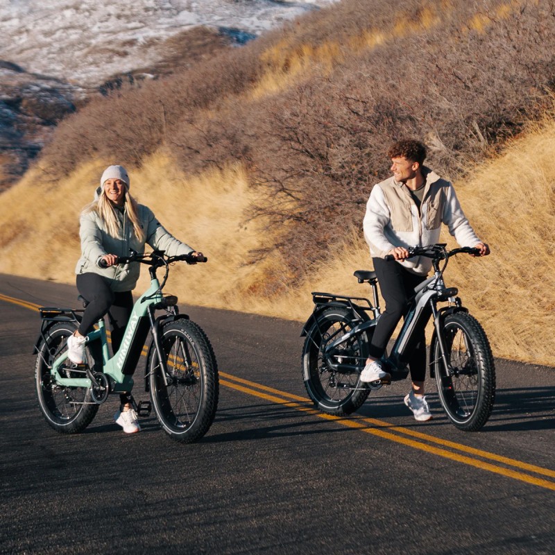 D5 ST(Zebra ST) / Premium All-terrain Electric Fat Bike D5 ST(Zebra ST) / Premium All-terrain Electric Fat Bike