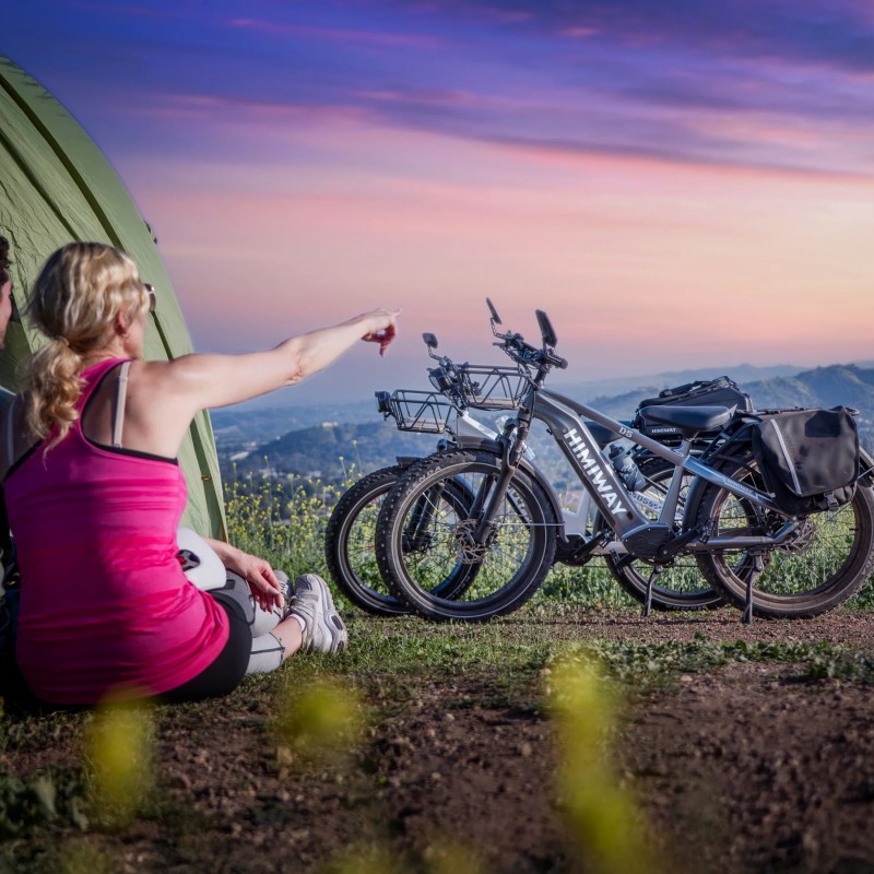 D5 ST(Zebra ST) / Premium All-terrain Electric Fat Bike D5 ST(Zebra ST) / Premium All-terrain Electric Fat Bike