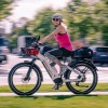 D5 ST(Zebra ST) / Premium All-terrain Electric Fat Bike