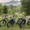 D5 ST(Zebra ST) / Premium All-terrain Electric Fat Bike
