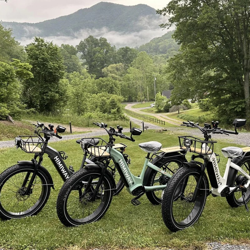 D5 ST(Zebra ST) / Premium All-terrain Electric Fat Bike D5 ST(Zebra ST) / Premium All-terrain Electric Fat Bike