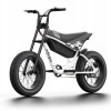 C5 / Electric Motorbike