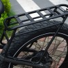 D7(Cobra)/D7 Pro(Cobra Pro) Rear Rack